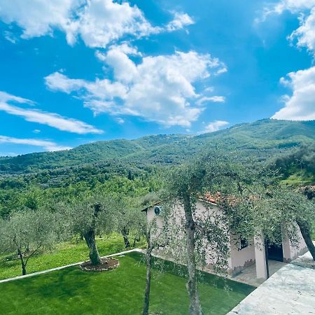 Casa Vacanze Gli Ulivi Borgomaro Екстериор снимка