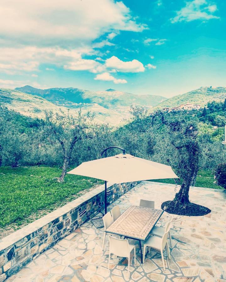 Casa Vacanze Gli Ulivi Borgomaro Екстериор снимка