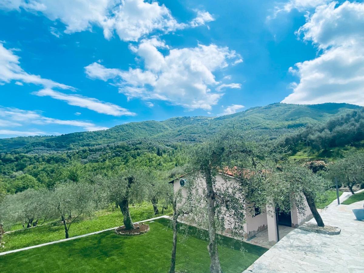 Casa Vacanze Gli Ulivi Borgomaro Екстериор снимка
