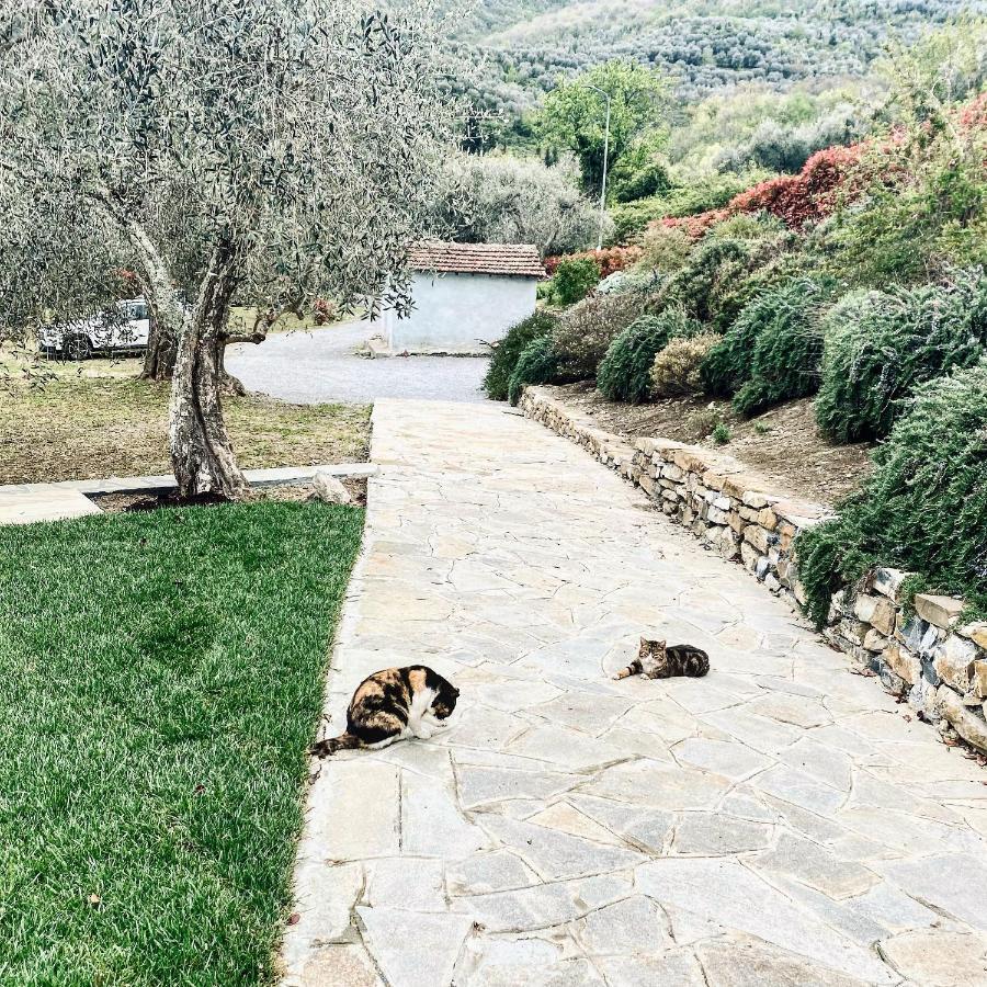 Casa Vacanze Gli Ulivi Borgomaro Екстериор снимка