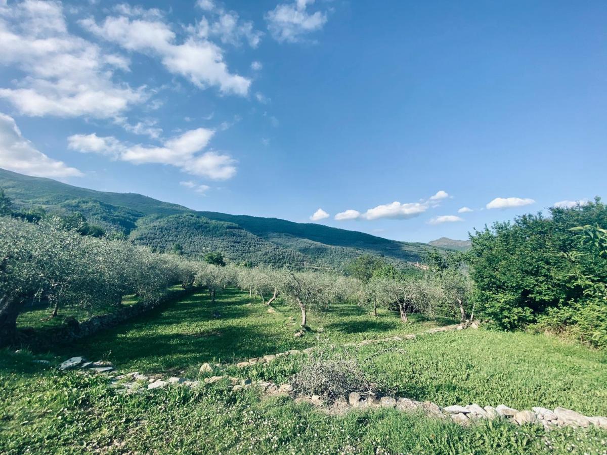 Casa Vacanze Gli Ulivi Borgomaro Екстериор снимка