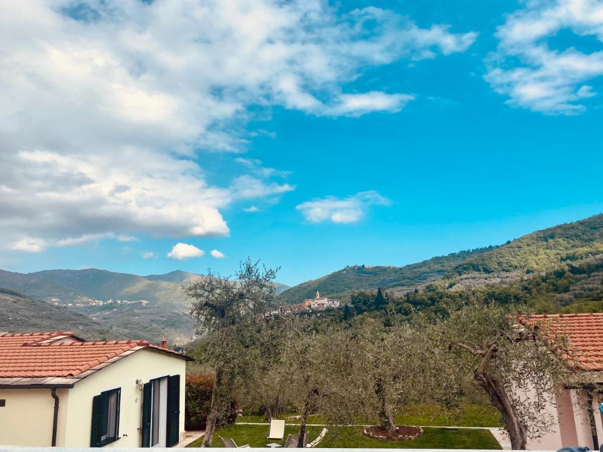 Casa Vacanze Gli Ulivi Borgomaro Екстериор снимка