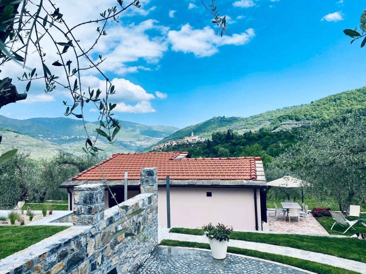 Casa Vacanze Gli Ulivi Borgomaro Екстериор снимка