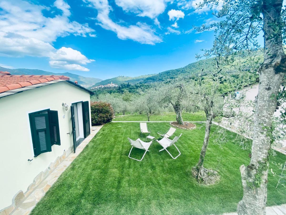 Casa Vacanze Gli Ulivi Borgomaro Екстериор снимка