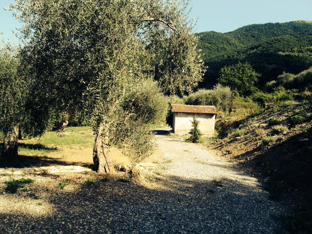 Casa Vacanze Gli Ulivi Borgomaro Стая снимка