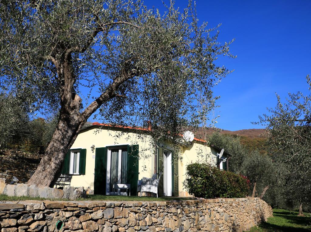 Casa Vacanze Gli Ulivi Borgomaro Екстериор снимка